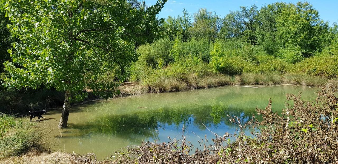 Gite De Campagne L'Estressol Cuq  Exterior photo